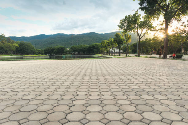 Best Permeable Paver Driveway  in Parker, SC