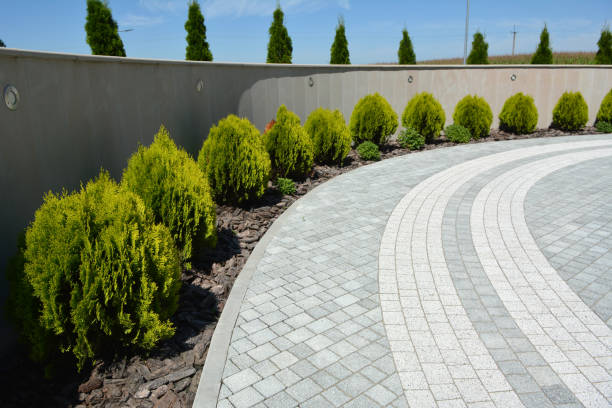 Best Driveway Repair Near Me  in Parker, SC
